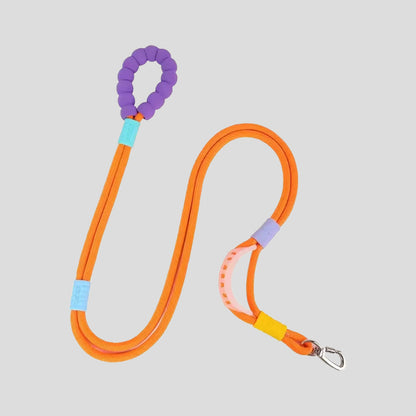 Colorful Foam Handle Dog Leash – Soft Grip Rope Lead for Dogs