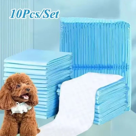 Disposable Dog Training Pee Pads – Super Absorbent Puppy Potty Pads (10 Pcs/Set)