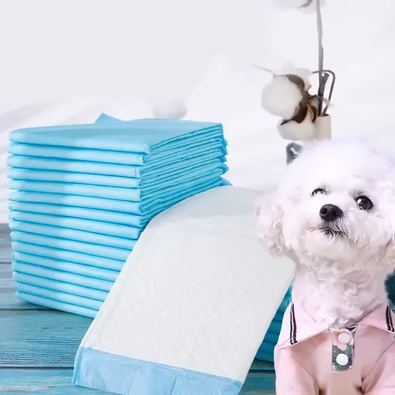 Disposable Dog Training Pee Pads – Super Absorbent Puppy Potty Pads (10 Pcs/Set)