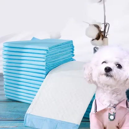 Disposable Dog Training Pee Pads – Super Absorbent Puppy Potty Pads (10 Pcs/Set)