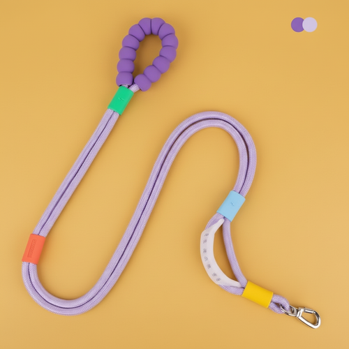 Dog Leash Golden Yellow Background