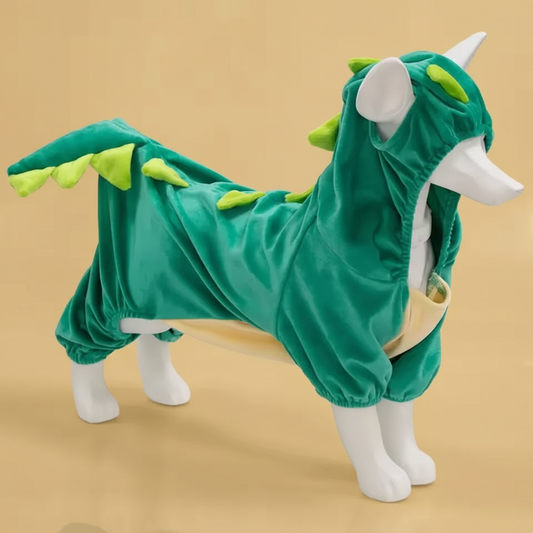 Dragon Costume Warm Gold Background